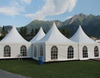 FEAMONT Outdoor Aluminium Exhibition Tents Commercial Chapiteau Tente Events Party Luxury 10 X 10 Wedding Marquee for Sale