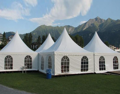 FEAMONT Outdoor Aluminium Exhibition Tents Commercial Chapiteau Tente Events Party Luxury 10 X 10 Wedding Marquee for Sale