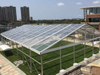 500 800 1000 People Luxury Clear Roof Wedding Marquee Party Tents for Sale Transparent Tent for Wedding