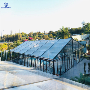Luxury Party Wedding clear PVC Black Frame Large Tent Curved Herringbone Color Optional Aluminum Steel Frame Event Marquee Tent